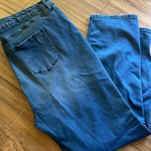 Laurie Felt Skinny Jean, size 3X